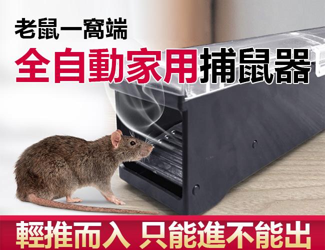 全自動捕鼠器 自動靈敏誘捕 鼠洞式捕鼠器 捕鼠器 捕鼠 驅鼠器 捕鼠籠 捕鼠神器 滅鼠 驅鼠 老鼠籠